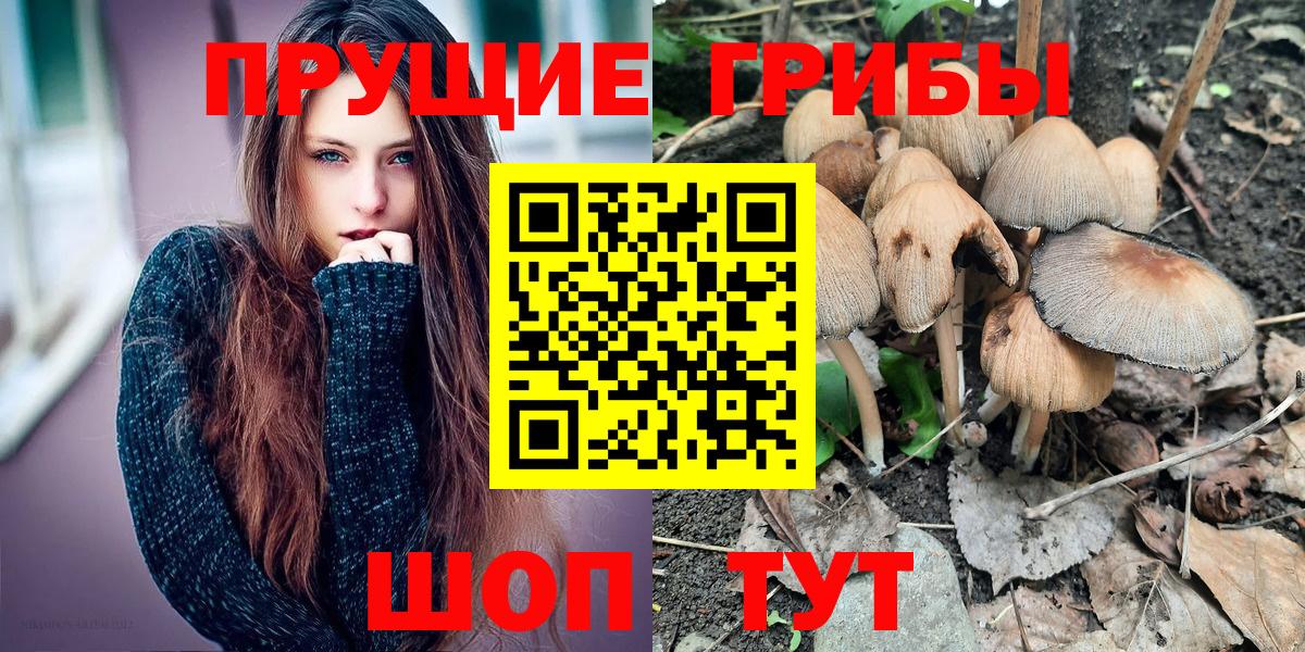 Псилоцибиновые грибы мухоморы Темрюк