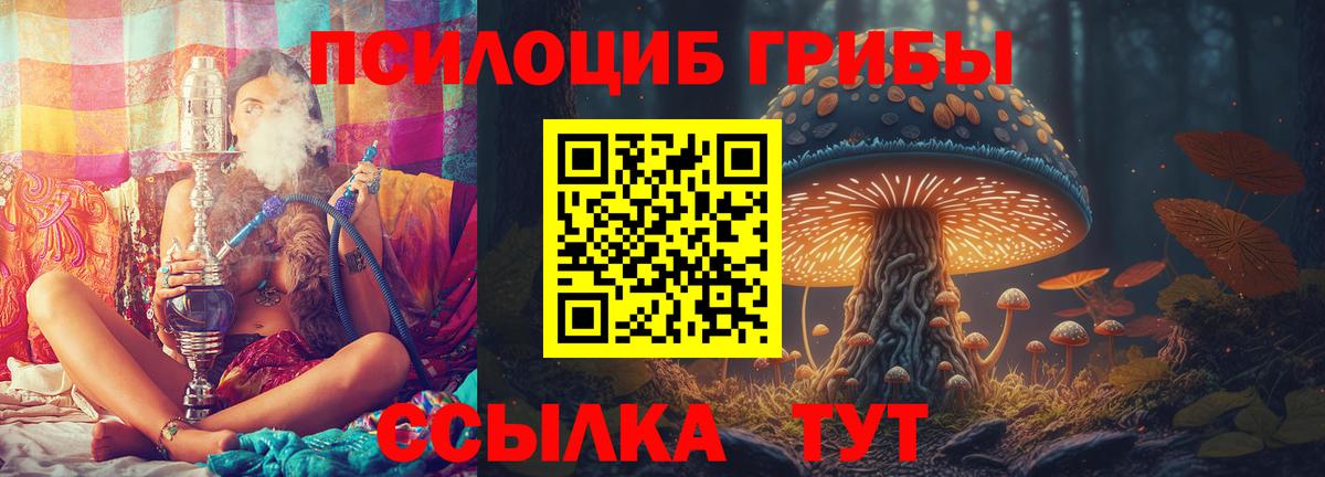 Темрюк  Галлюциногенные грибы Magic Shrooms  Вход с VPN  Псилоцибиновые грибы мицелий 